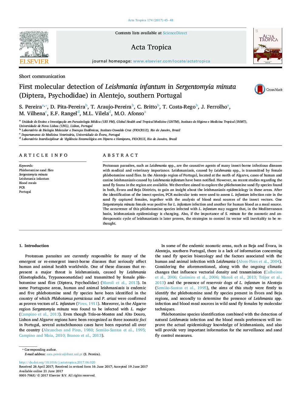 First molecular detection of Leishmania infantum in Sergentomyia minuta (Diptera, Psychodidae) in Alentejo, southern Portugal