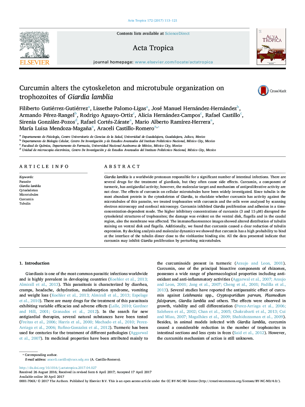 Curcumin alters the cytoskeleton and microtubule organization on trophozoites of Giardia lamblia