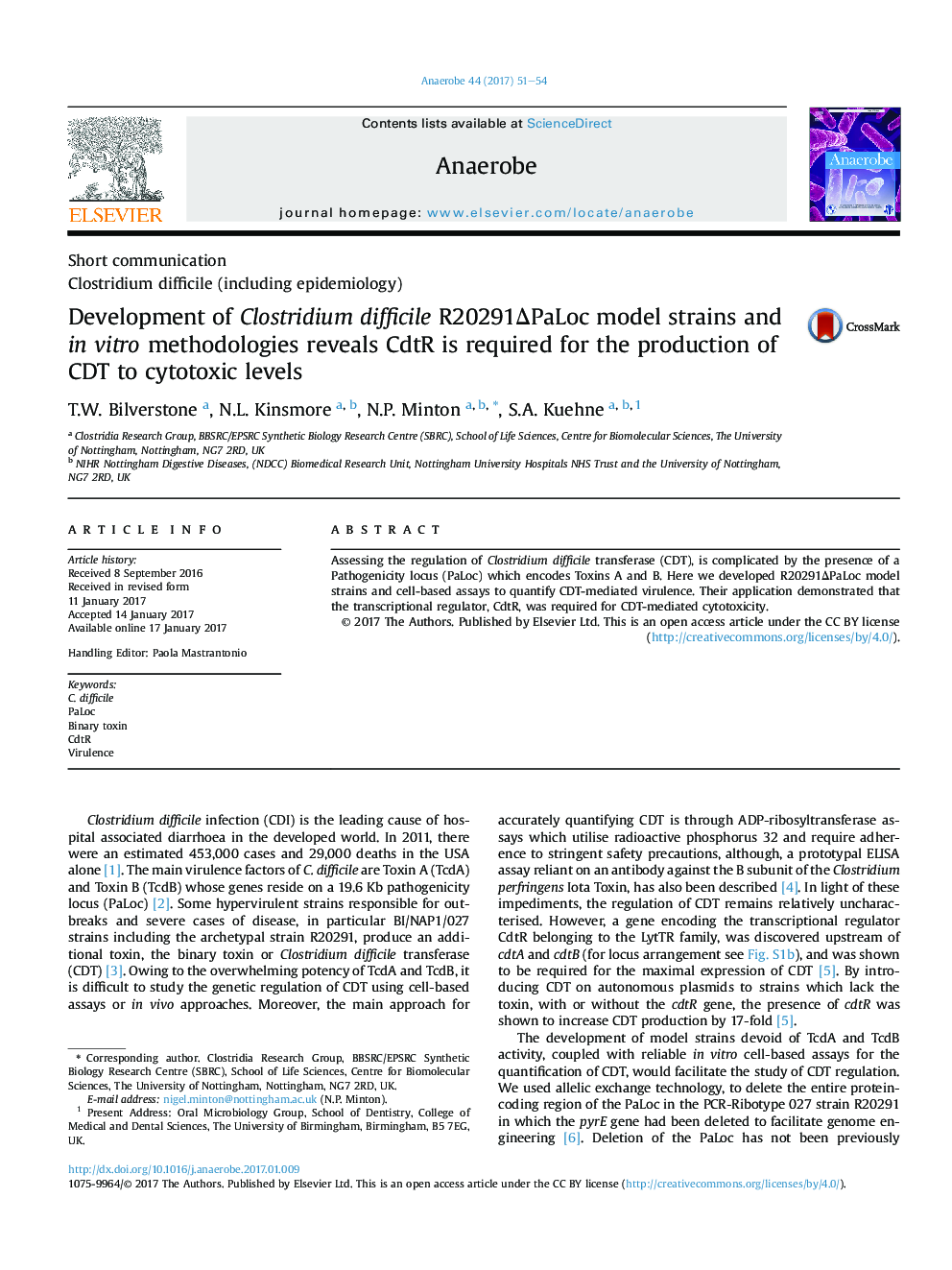 Development of Clostridium difficile R20291ÎPaLoc model strains and inÂ vitro methodologies reveals CdtR is required for the production of CDT to cytotoxic levels