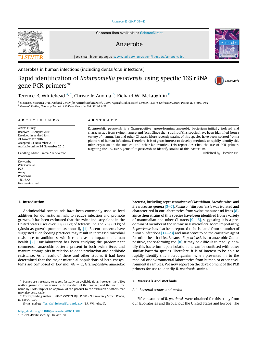 Rapid identification of Robinsoniella peoriensis using specific 16S rRNA gene PCR primers