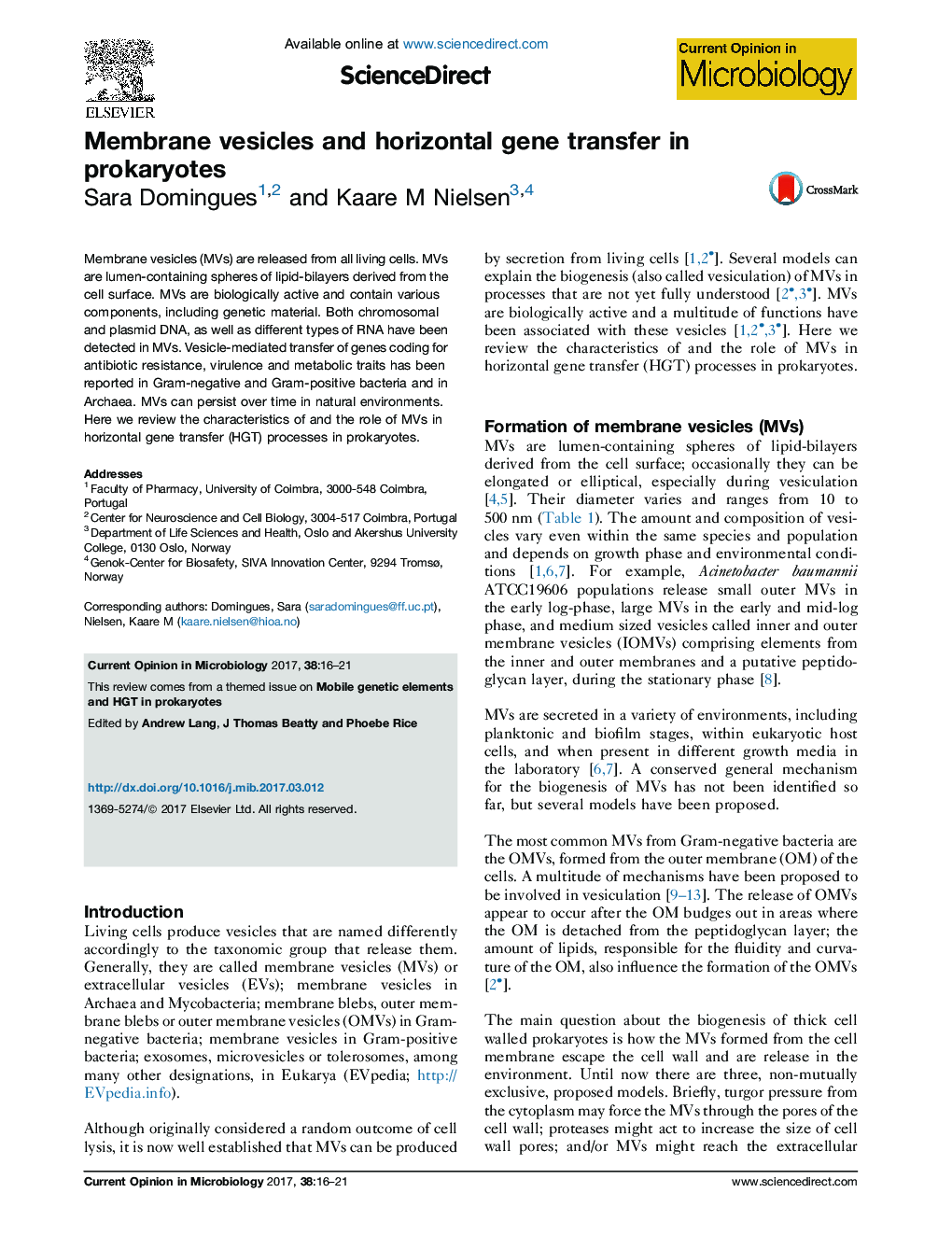 Membrane vesicles and horizontal gene transfer in prokaryotes