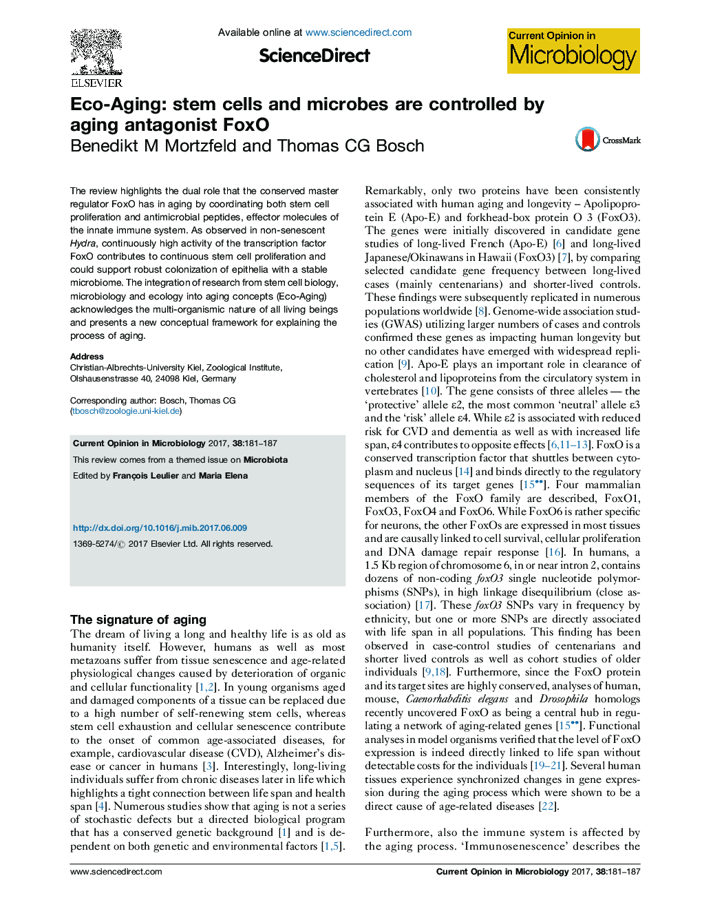 Eco-Aging: stem cells and microbes are controlled by aging antagonist FoxO