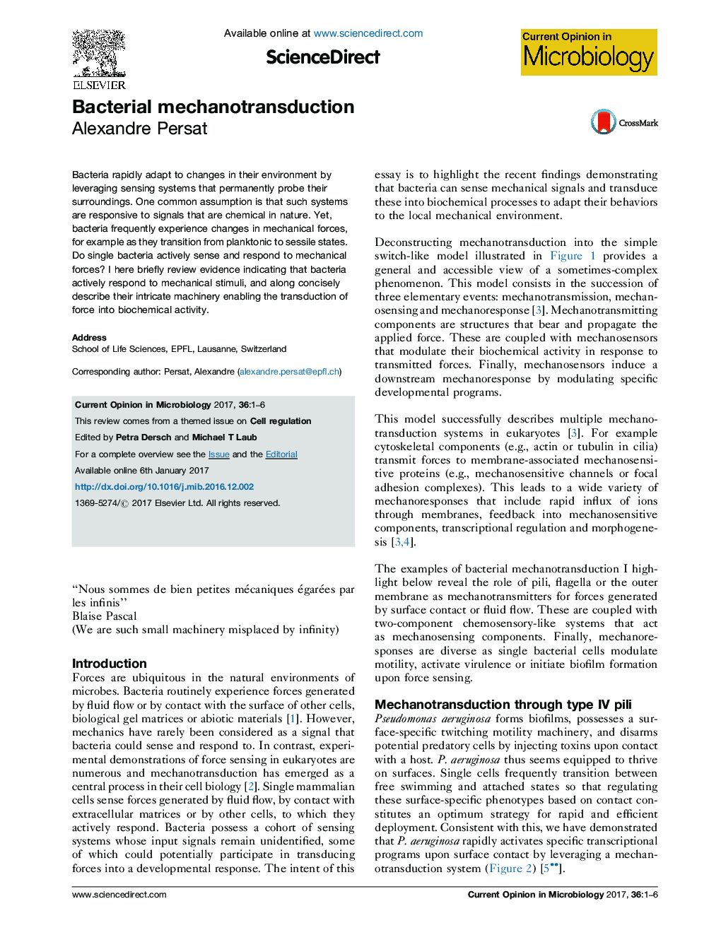 Bacterial mechanotransduction