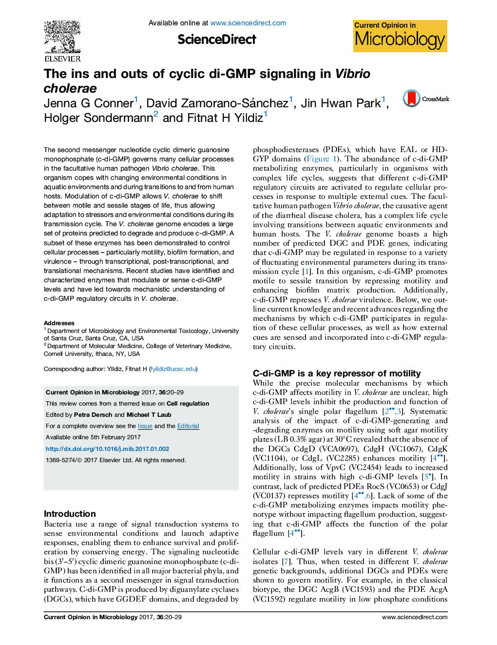 The ins and outs of cyclic di-GMP signaling in Vibrio cholerae