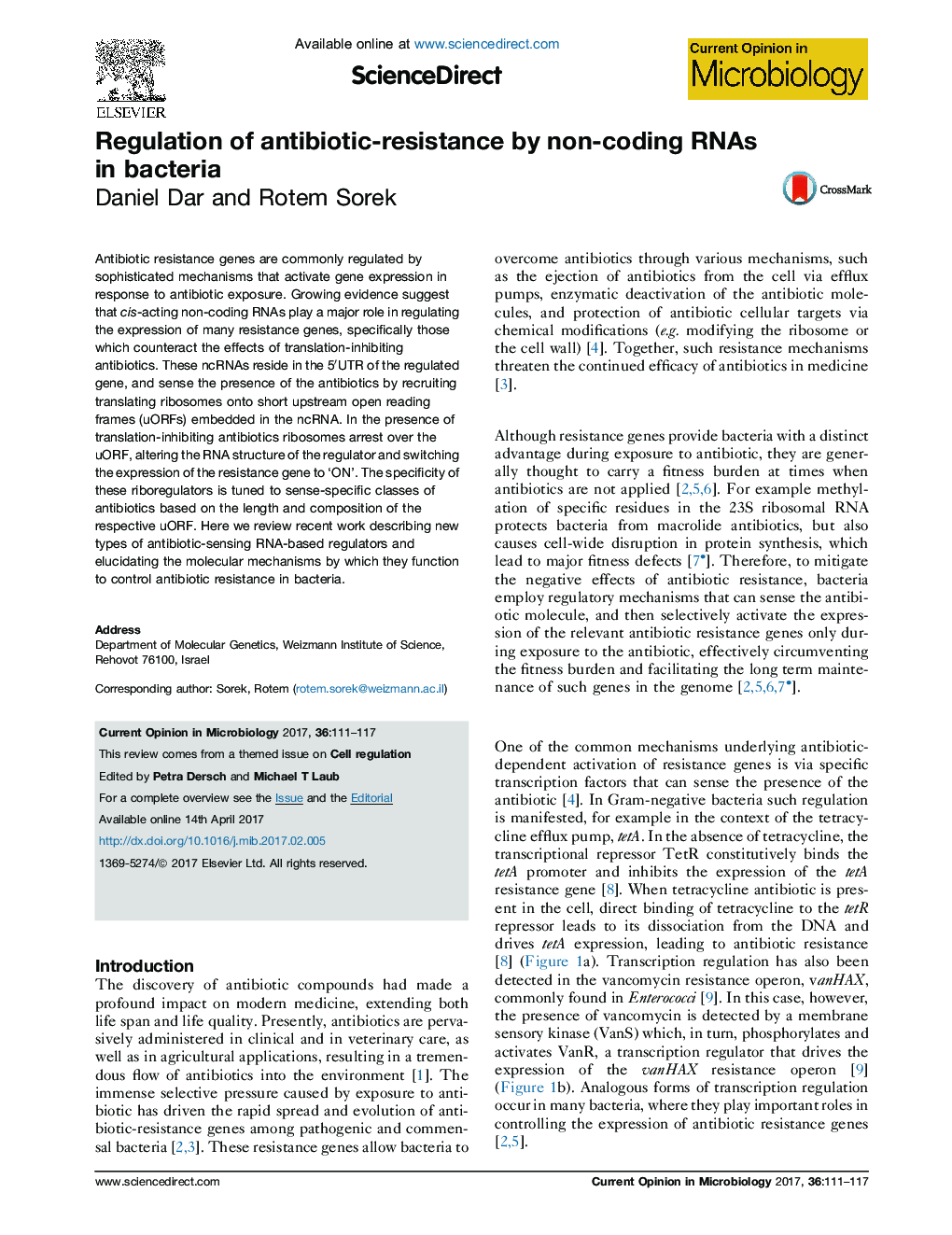 Regulation of antibiotic-resistance by non-coding RNAs in bacteria