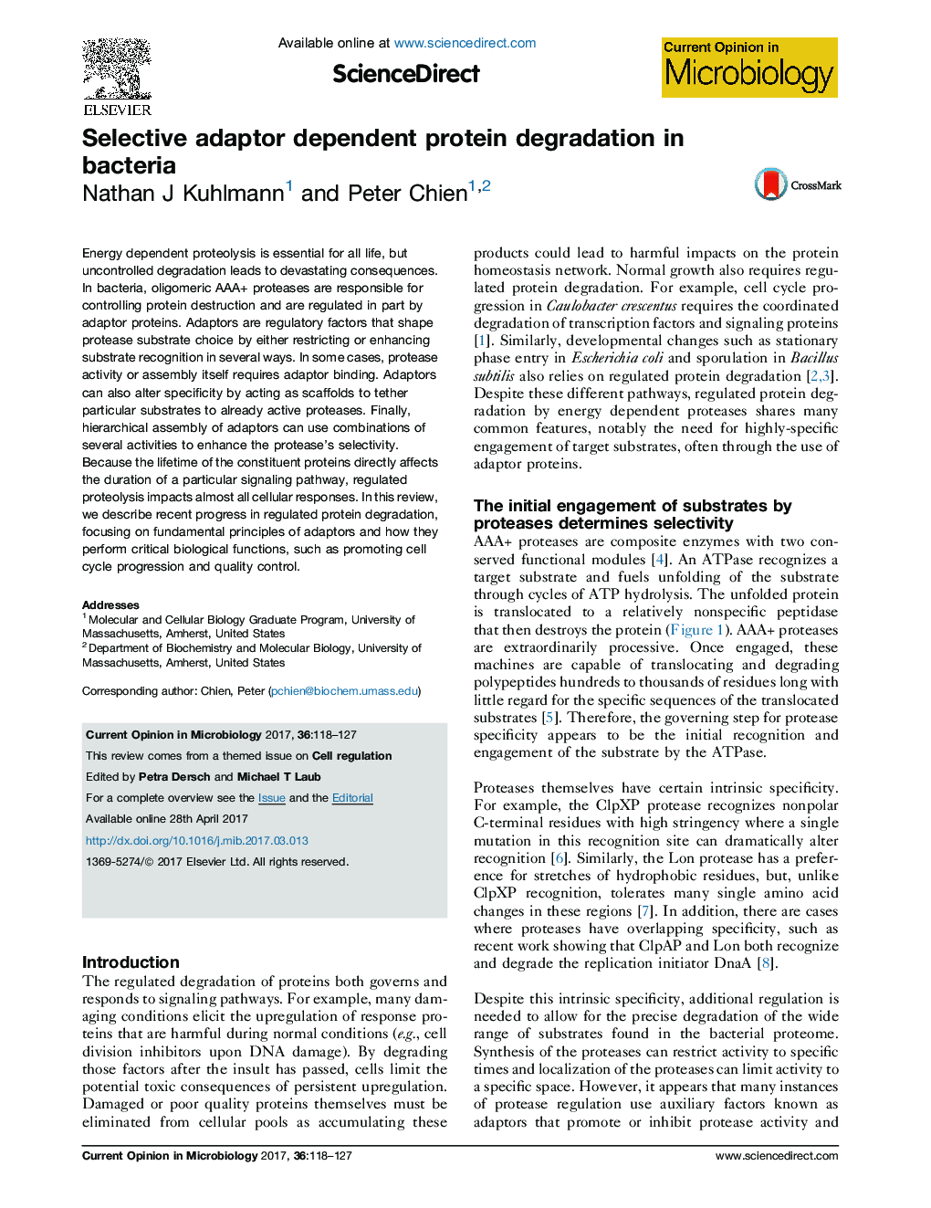 Selective adaptor dependent protein degradation in bacteria