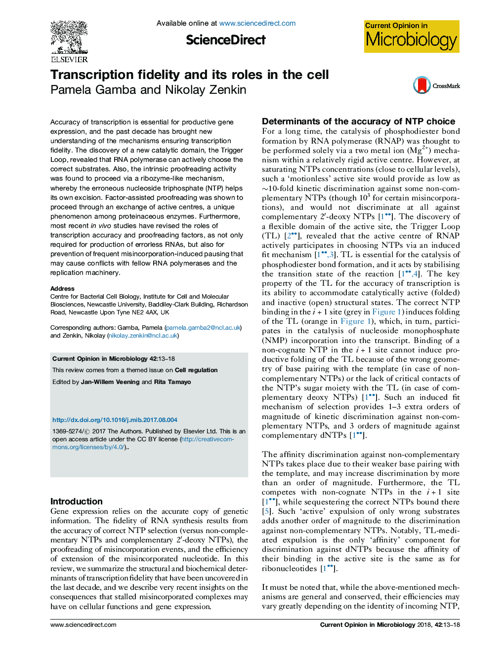 Transcription fidelity and its roles in the cell