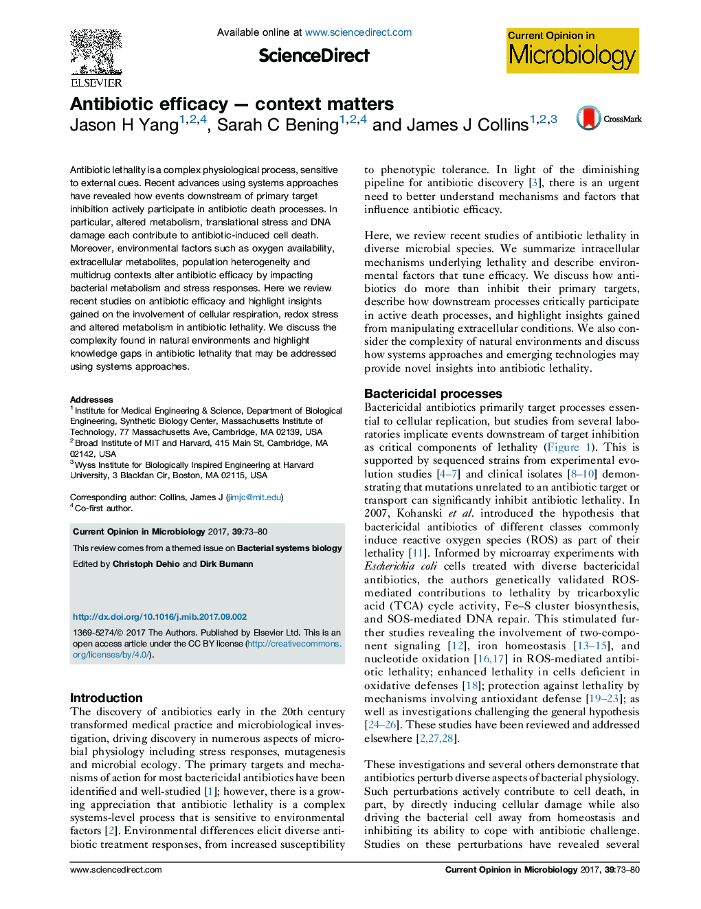 Antibiotic efficacy - context matters