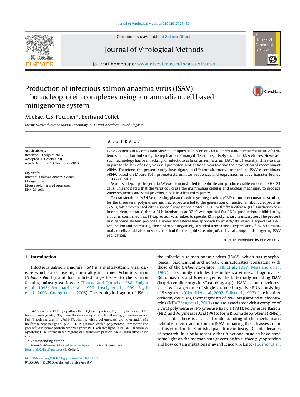 Production of infectious salmon anaemia virus (ISAV) ribonucleoprotein complexes using a mammalian cell based minigenome system