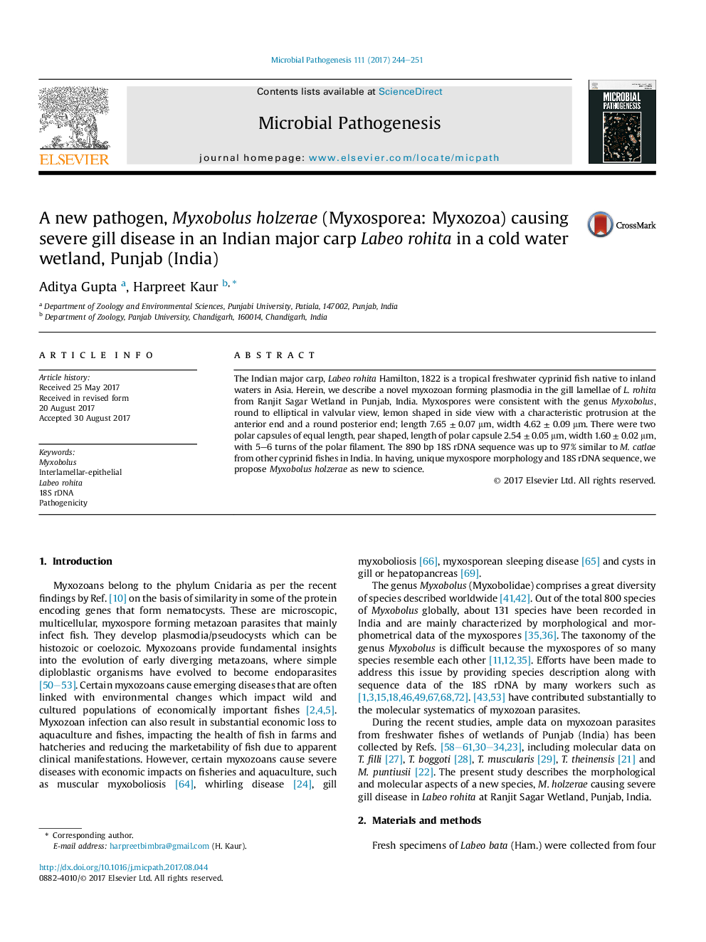 A new pathogen, Myxobolus holzerae (Myxosporea: Myxozoa) causing severe gill disease in an Indian major carp Labeo rohita in a cold water wetland, Punjab (India)