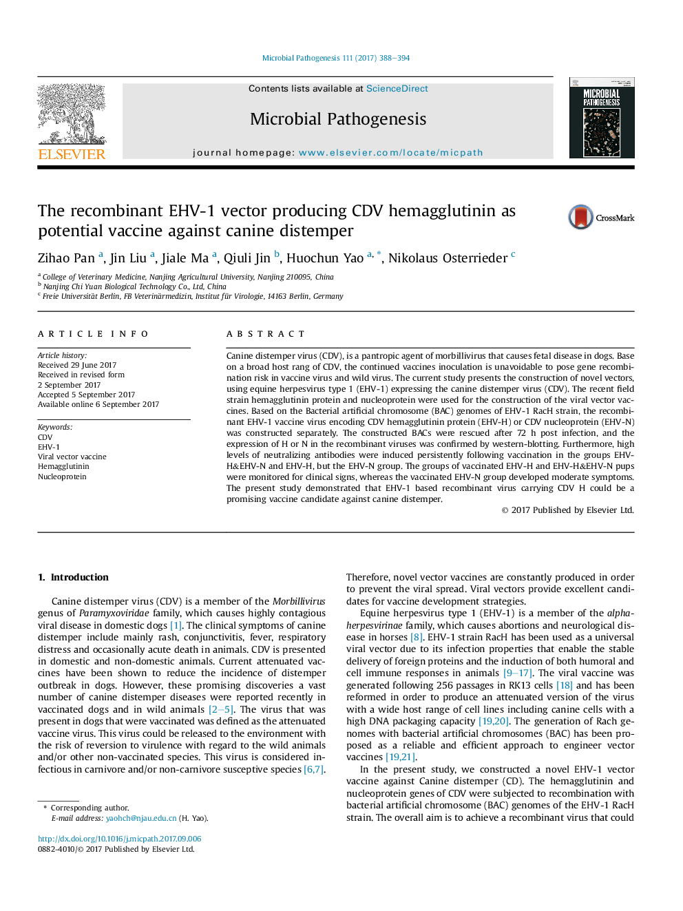 The recombinant EHV-1 vector producing CDV hemagglutinin as potential vaccine against canine distemper