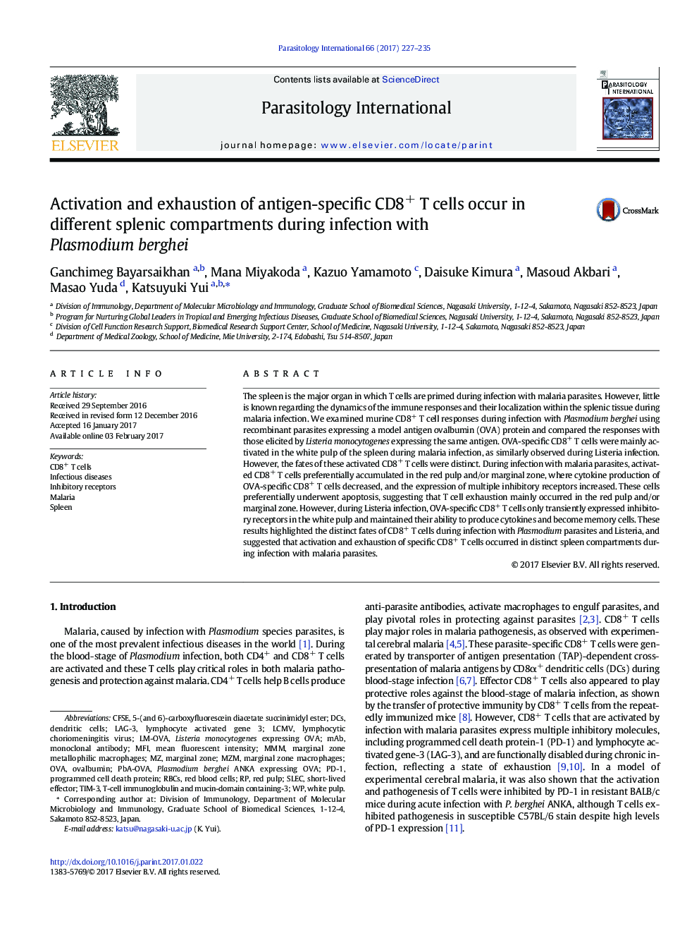 Activation and exhaustion of antigen-specific CD8+ T cells occur in different splenic compartments during infection with Plasmodium berghei