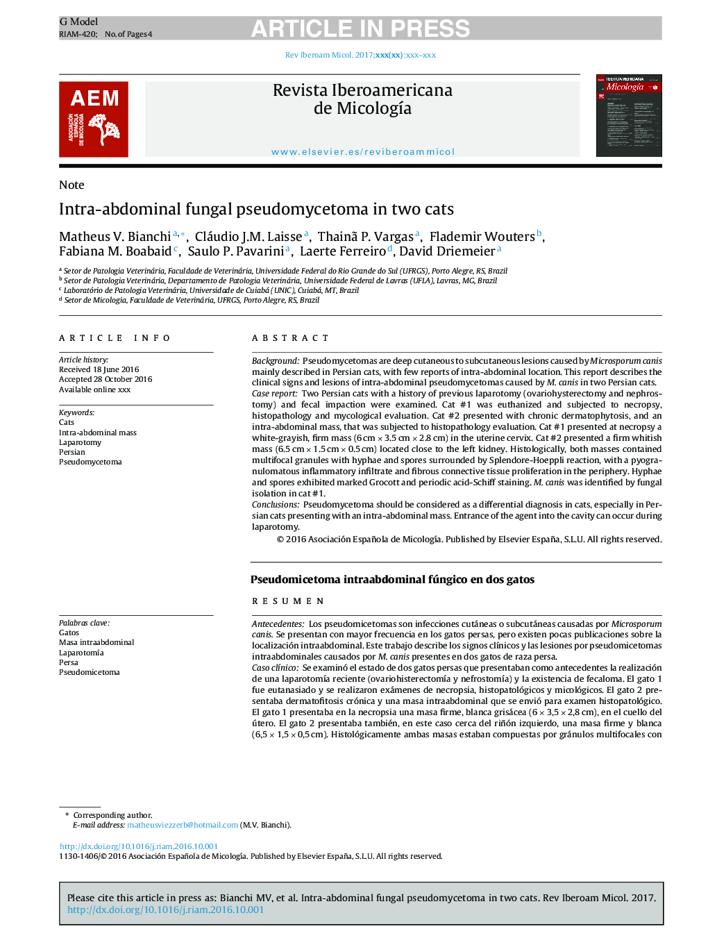 Intra-abdominal fungal pseudomycetoma in two cats