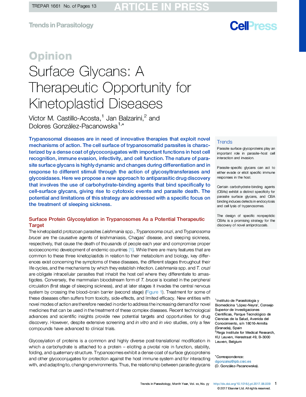 Surface Glycans: A Therapeutic Opportunity for Kinetoplastid Diseases