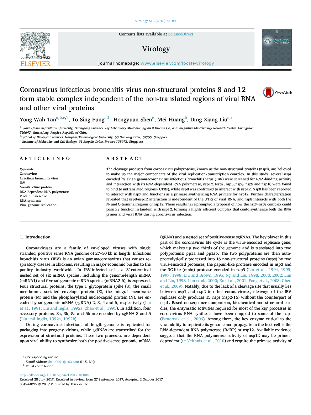 Coronavirus infectious bronchitis virus non-structural proteins 8 and 12 form stable complex independent of the non-translated regions of viral RNA and other viral proteins