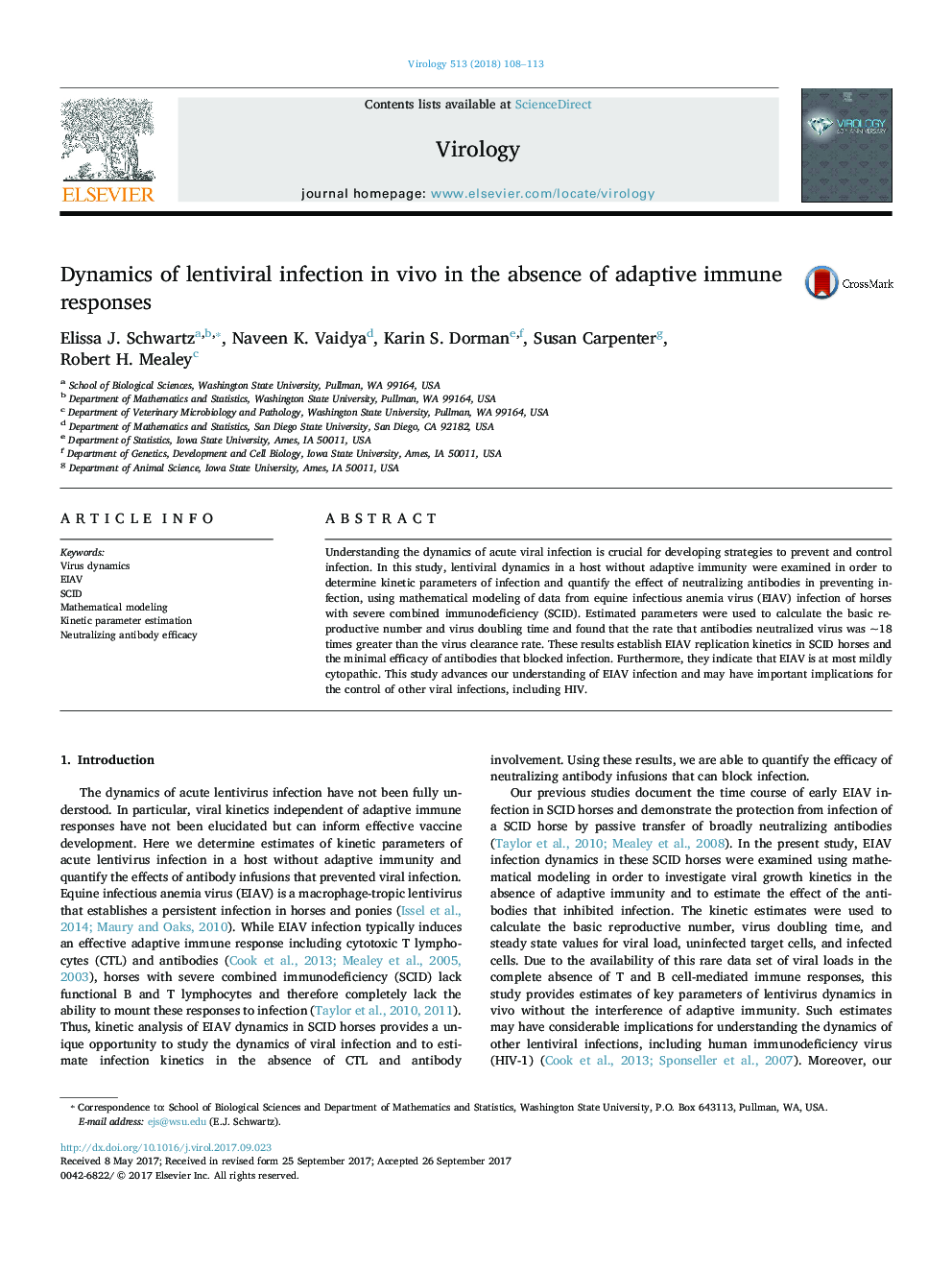 Dynamics of lentiviral infection in vivo in the absence of adaptive immune responses