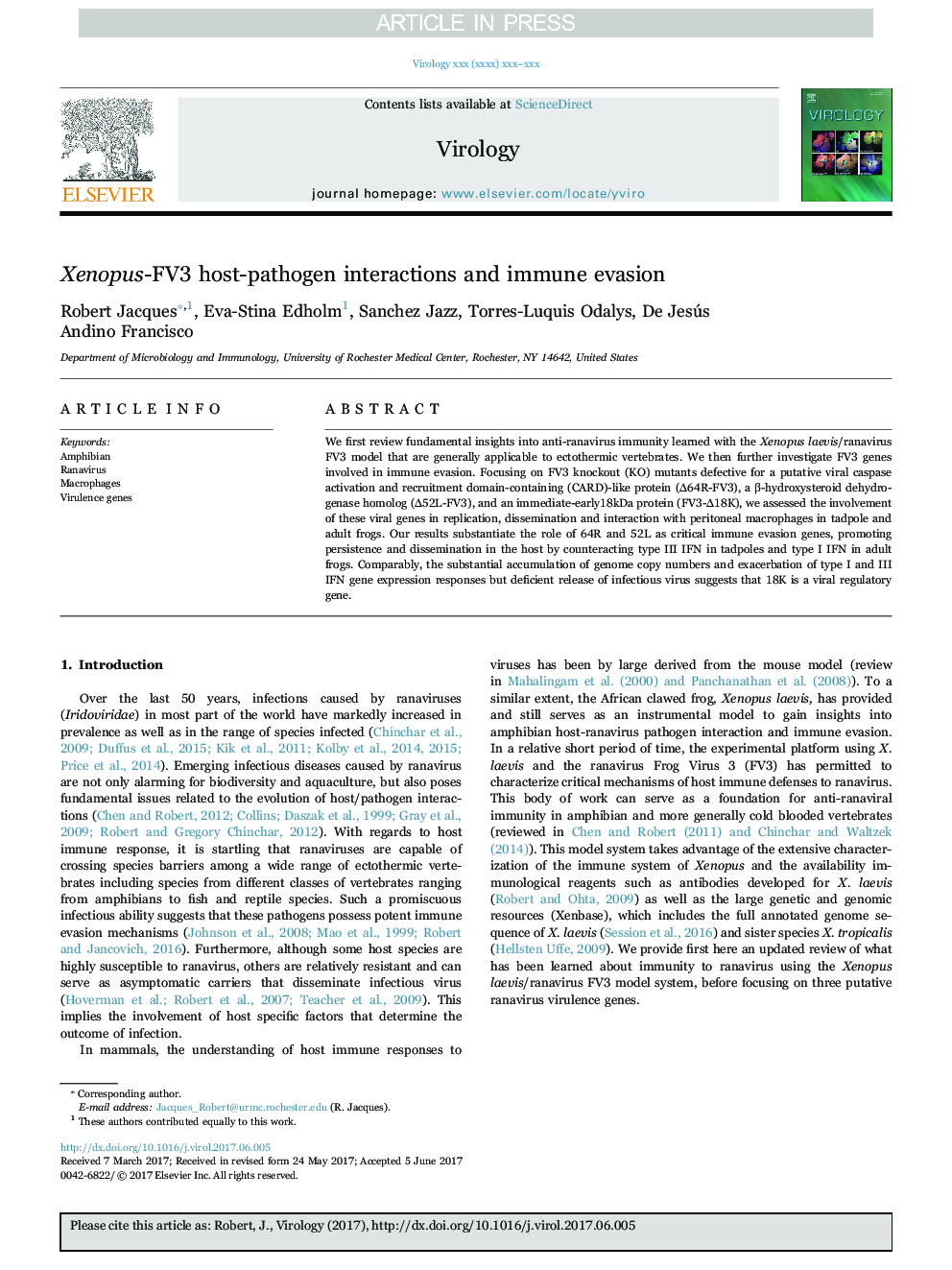 Xenopus-FV3 host-pathogen interactions and immune evasion