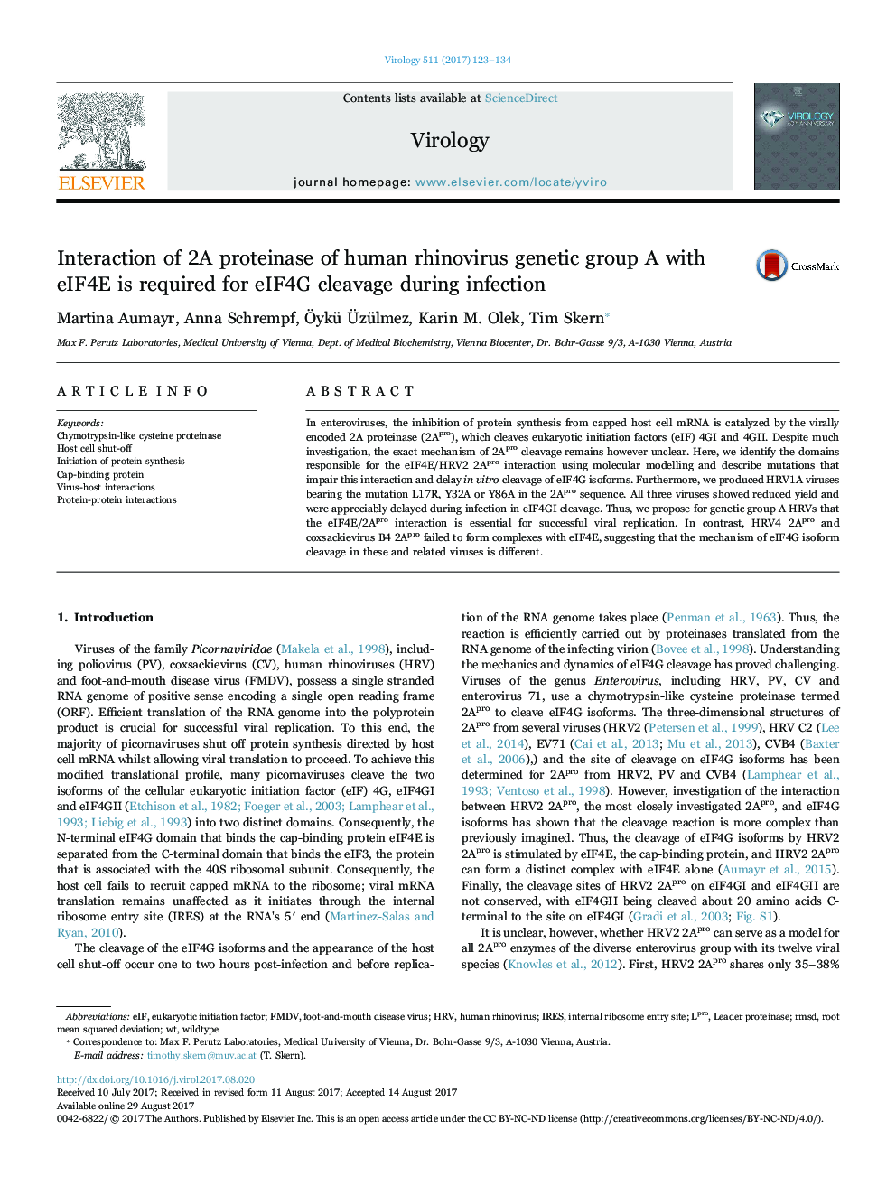 Interaction of 2A proteinase of human rhinovirus genetic group A with eIF4E is required for eIF4G cleavage during infection