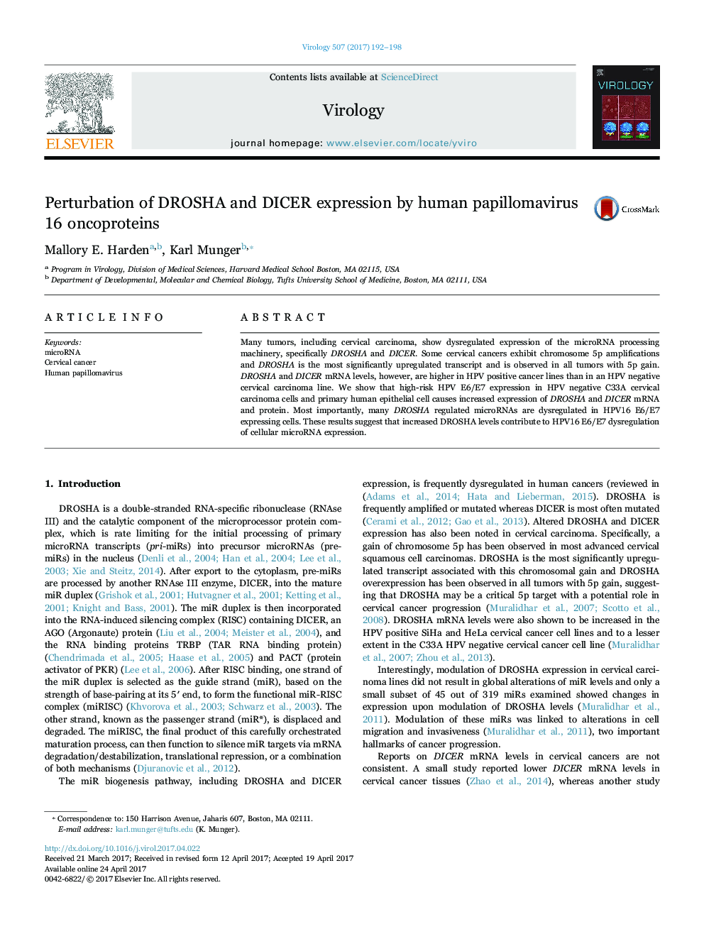 Perturbation of DROSHA and DICER expression by human papillomavirus 16 oncoproteins