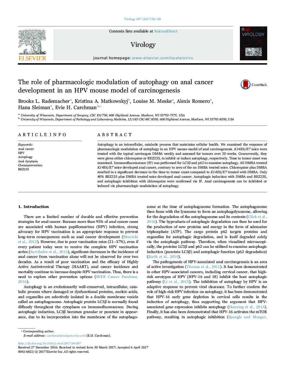 The role of pharmacologic modulation of autophagy on anal cancer development in an HPV mouse model of carcinogenesis