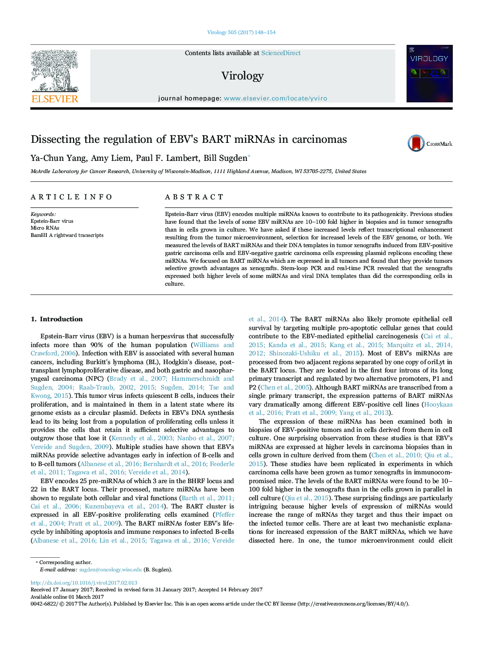 Dissecting the regulation of EBV's BART miRNAs in carcinomas