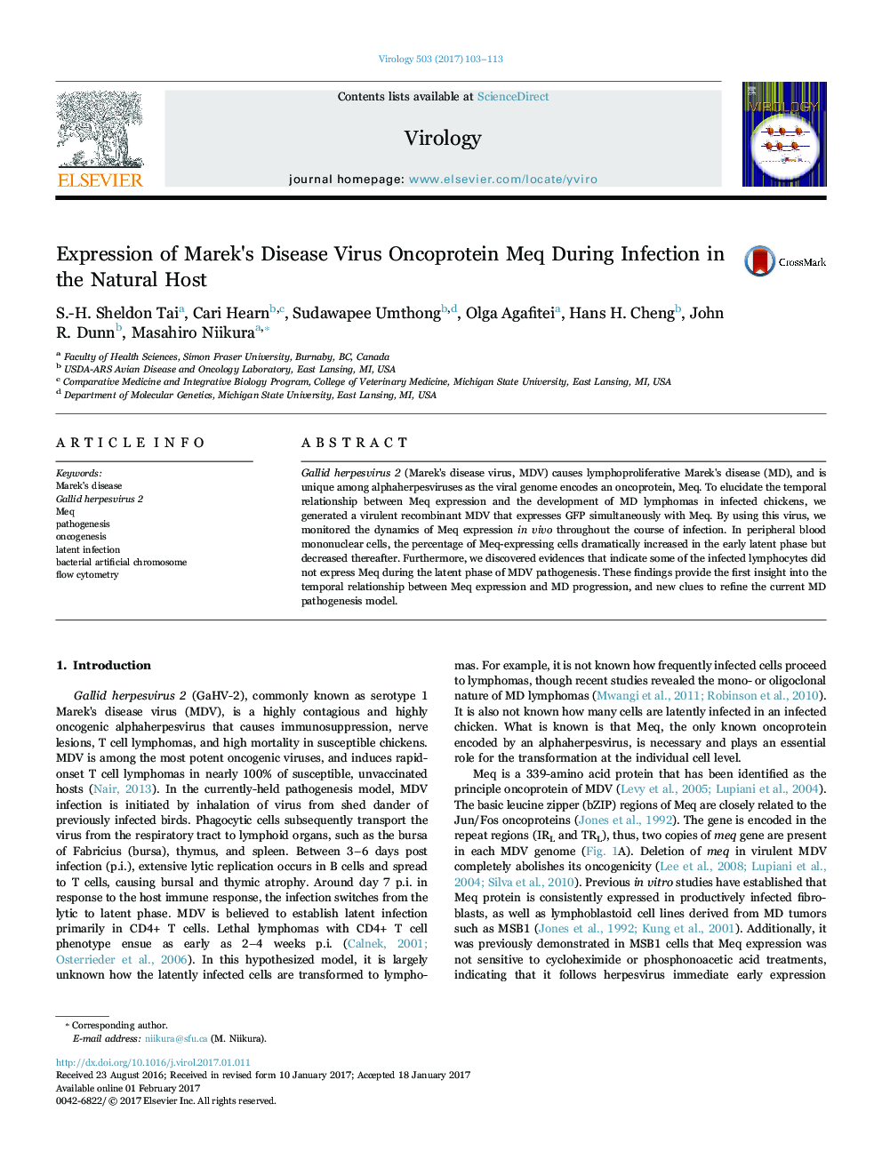 Expression of Marek's Disease Virus Oncoprotein Meq During Infection in the Natural Host