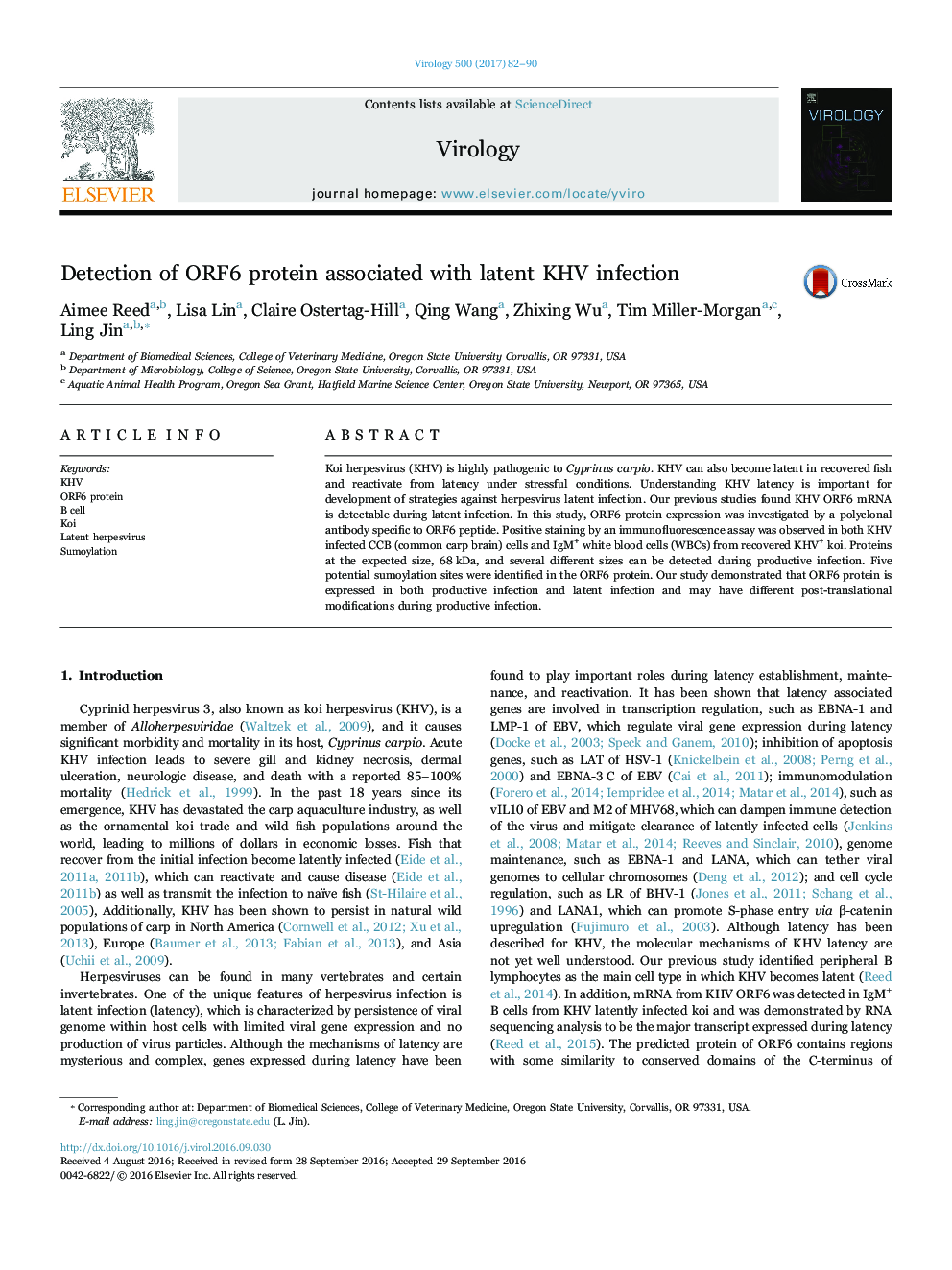 Detection of ORF6 protein associated with latent KHV infection