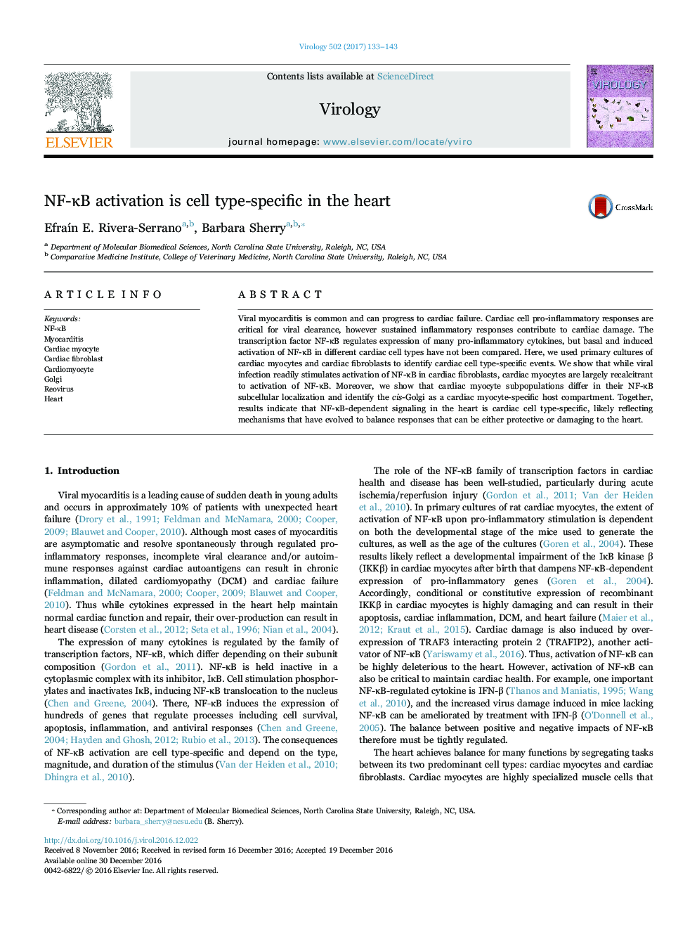 NF-ÎºB activation is cell type-specific in the heart