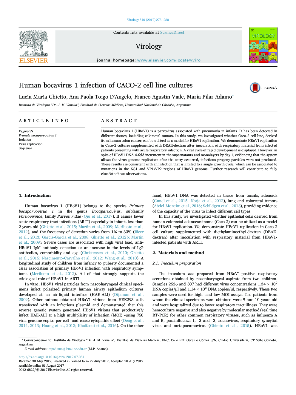 Human bocavirus 1 infection of CACO-2 cell line cultures