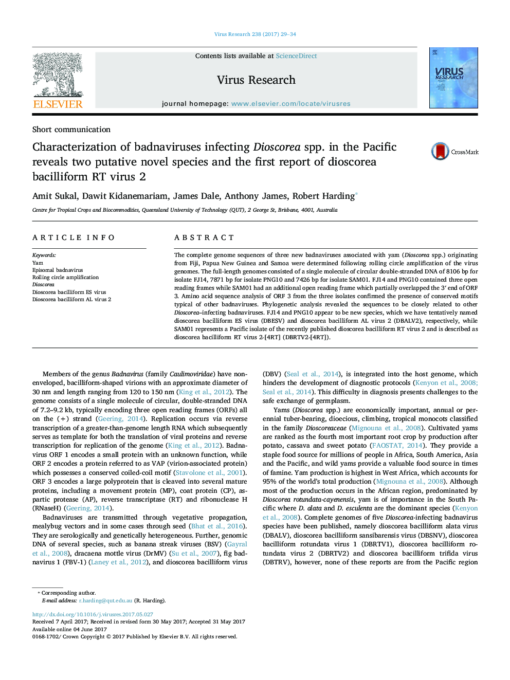 Characterization of badnaviruses infecting Dioscorea spp. in the Pacific reveals two putative novel species and the first report of dioscorea bacilliform RT virus 2