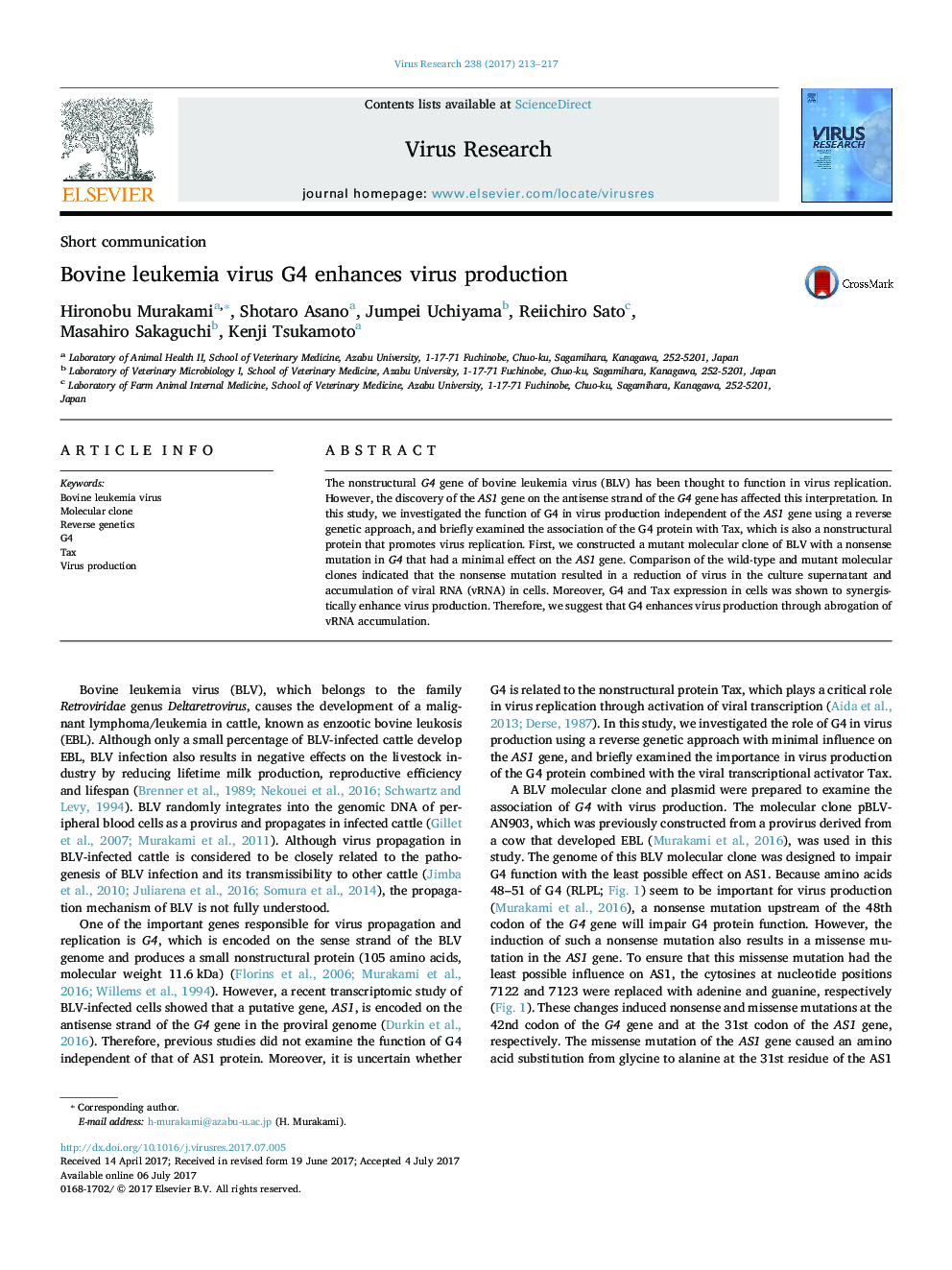 Bovine leukemia virus G4 enhances virus production