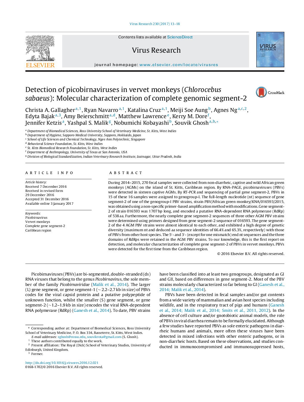 Detection of picobirnaviruses in vervet monkeys (Chlorocebus sabaeus): Molecular characterization of complete genomic segment-2