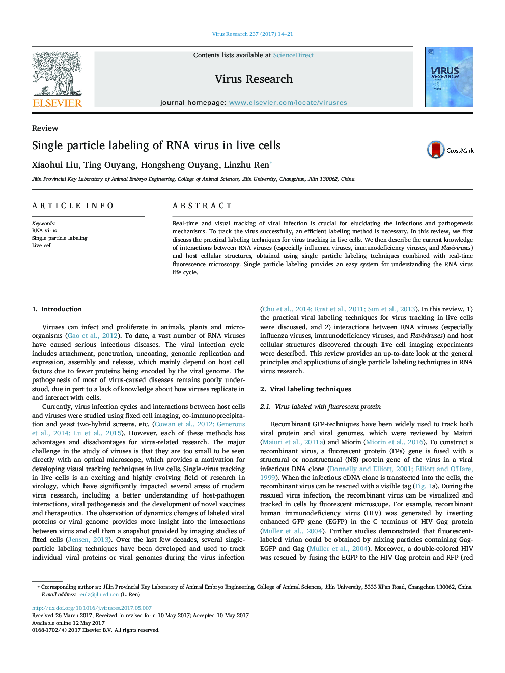 Single particle labeling of RNA virus in live cells