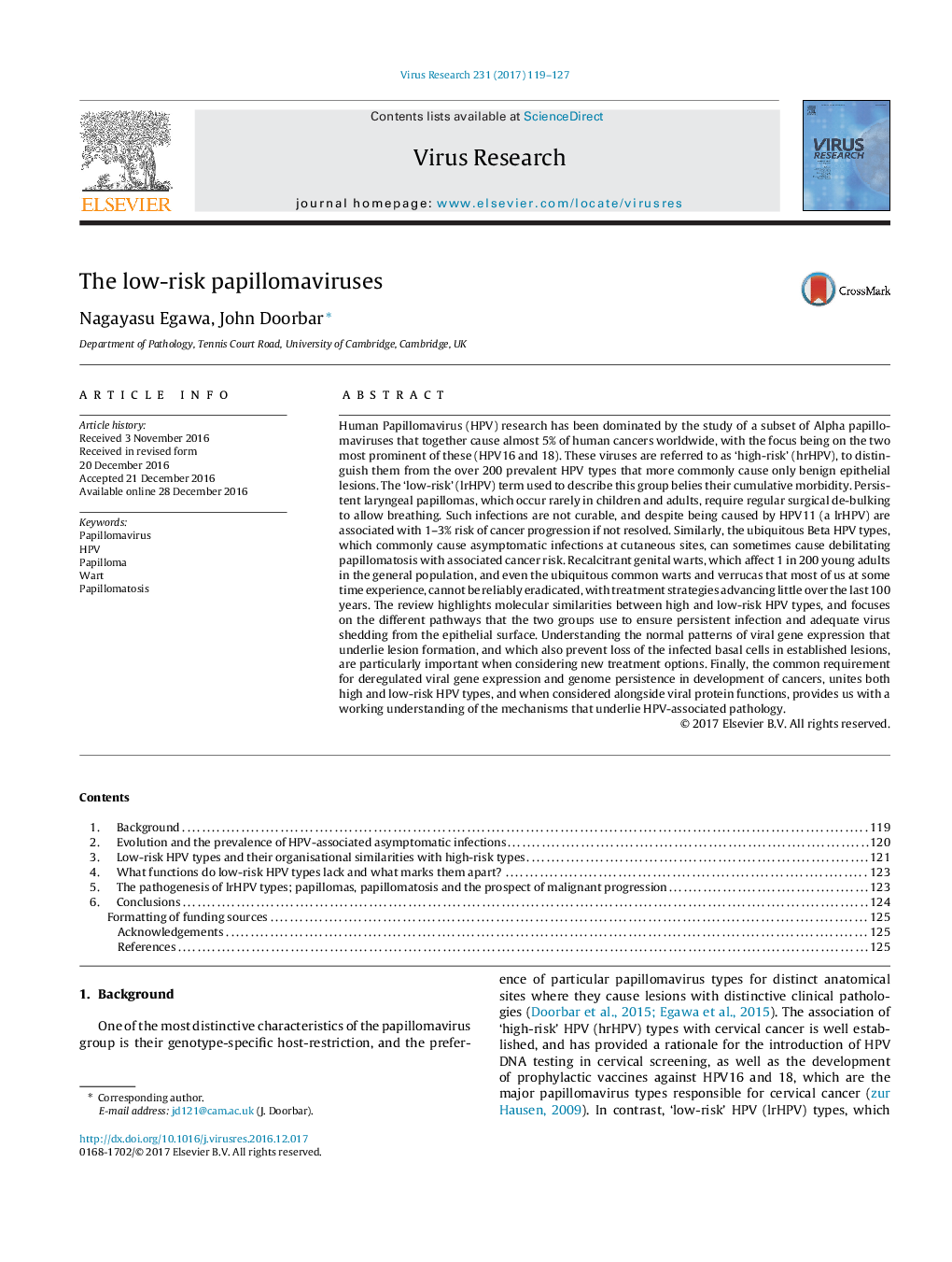 پاپیلوما ویروسی با ریسک پایین 