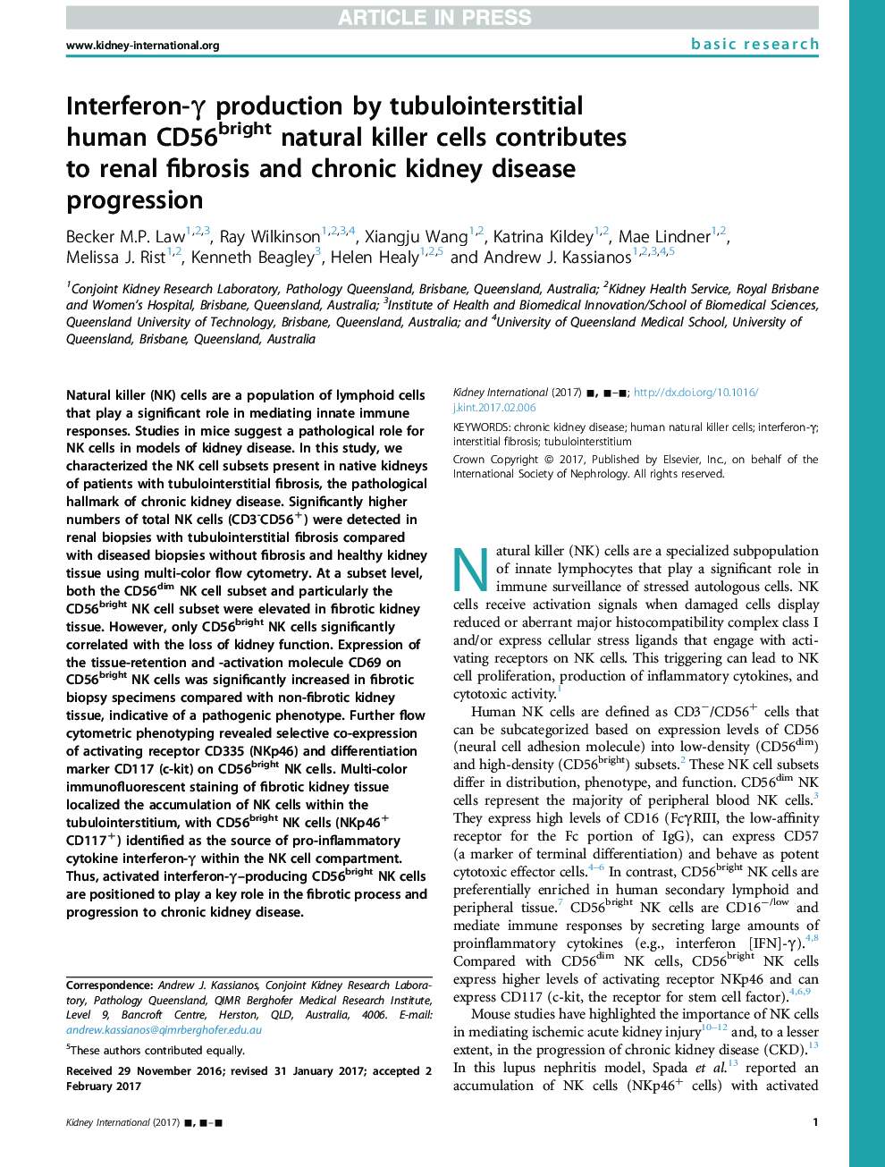 Interferon-Î³ production by tubulointerstitial human CD56bright natural killer cells contributes to renal fibrosis and chronic kidney disease progression