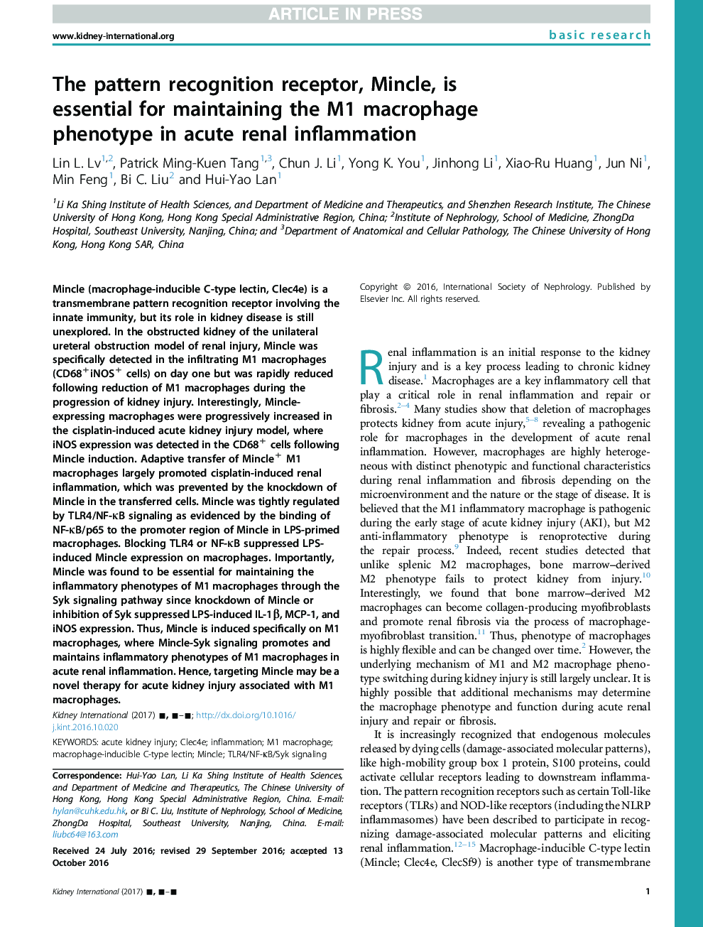 The pattern recognition receptor, Mincle, is essential for maintaining the M1 macrophage phenotype in acute renal inflammation