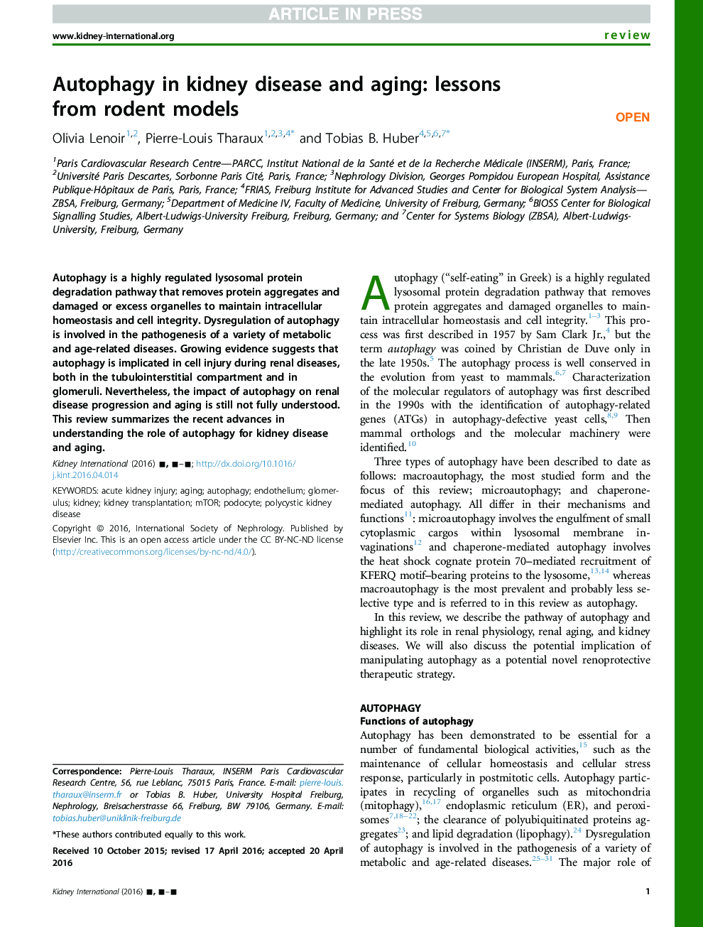 Autophagy in kidney disease and aging: lessons from rodent models