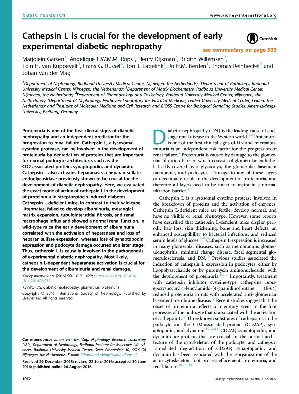 Cathepsin L is crucial for the development of early experimental diabetic nephropathy