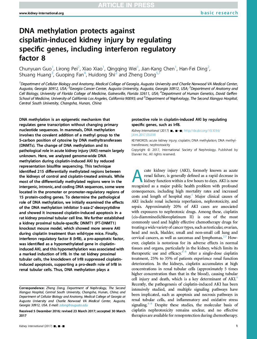 DNA methylation protects against cisplatin-induced kidney injury by regulating specific genes, including interferon regulatory factor 8