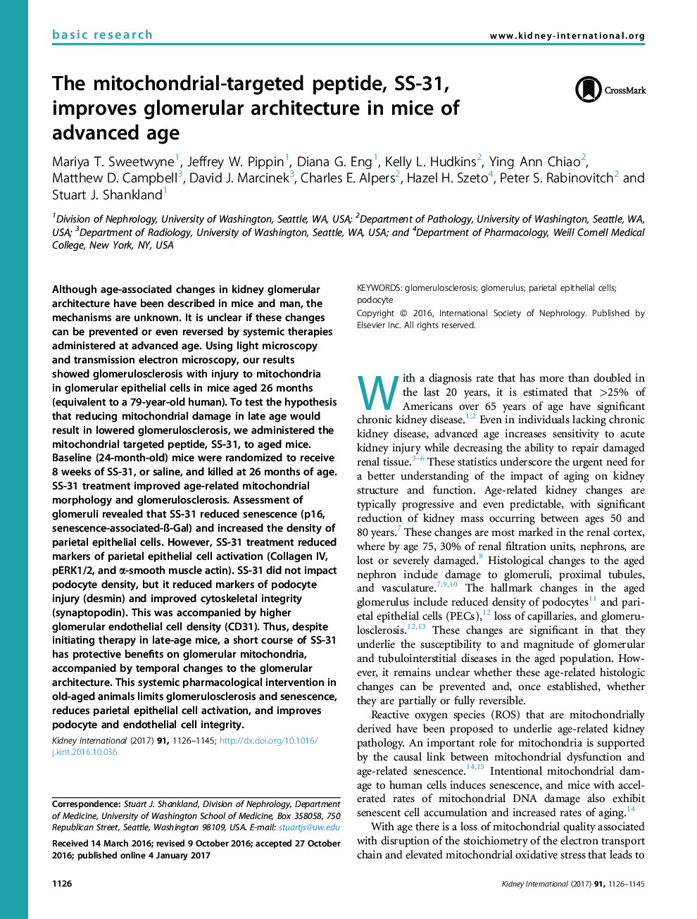 The mitochondrial-targeted peptide, SS-31, improves glomerular architecture in mice of advanced age