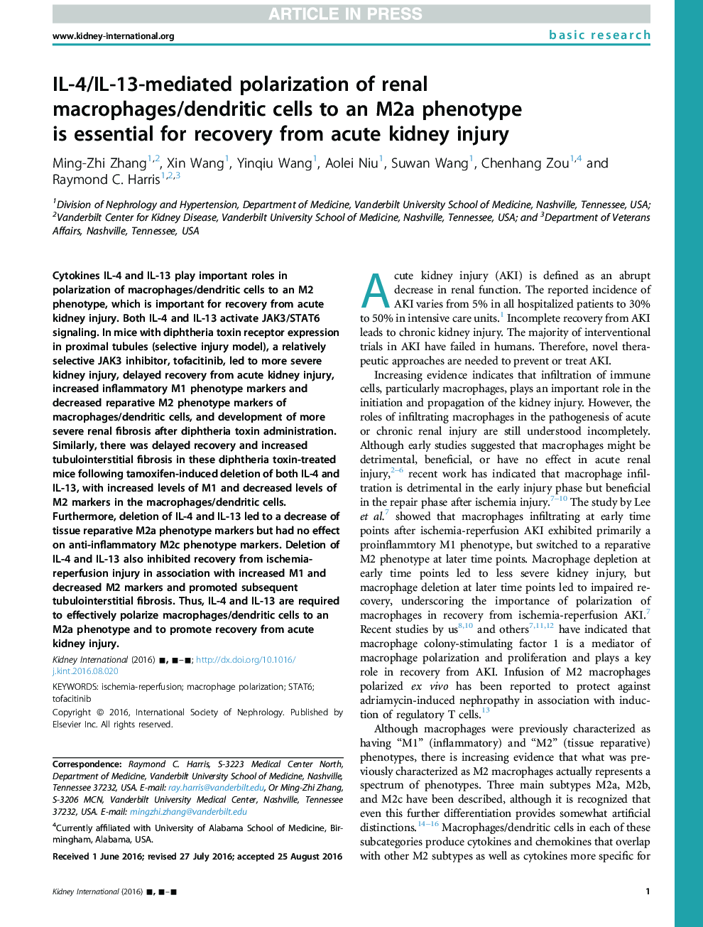 IL-4/IL-13-mediated polarization of renal macrophages/dendritic cells to an M2a phenotype is essential for recovery from acute kidney injury