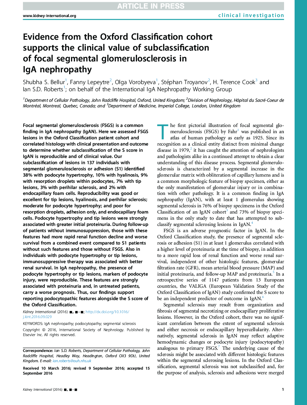 Evidence from the Oxford Classification cohort supports the clinical value of subclassification ofÂ focal segmental glomerulosclerosis in IgAÂ nephropathy