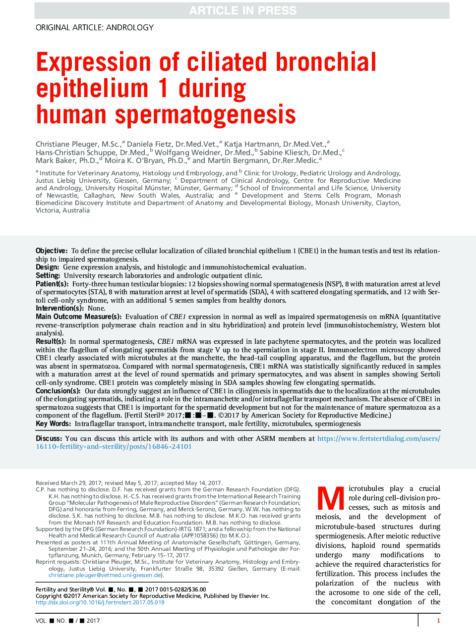Expression of ciliated bronchial epithelium 1 during human spermatogenesis