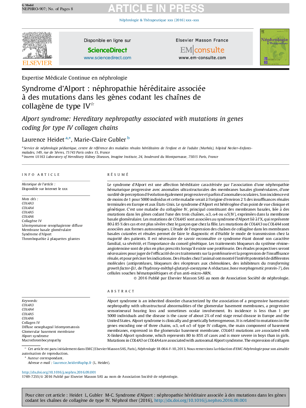 Syndrome d'AlportÂ : néphropathie héréditaire associée Ã  des mutations dans les gÃ¨nes codant les chaÃ®nes de collagÃ¨ne de typeÂ IV