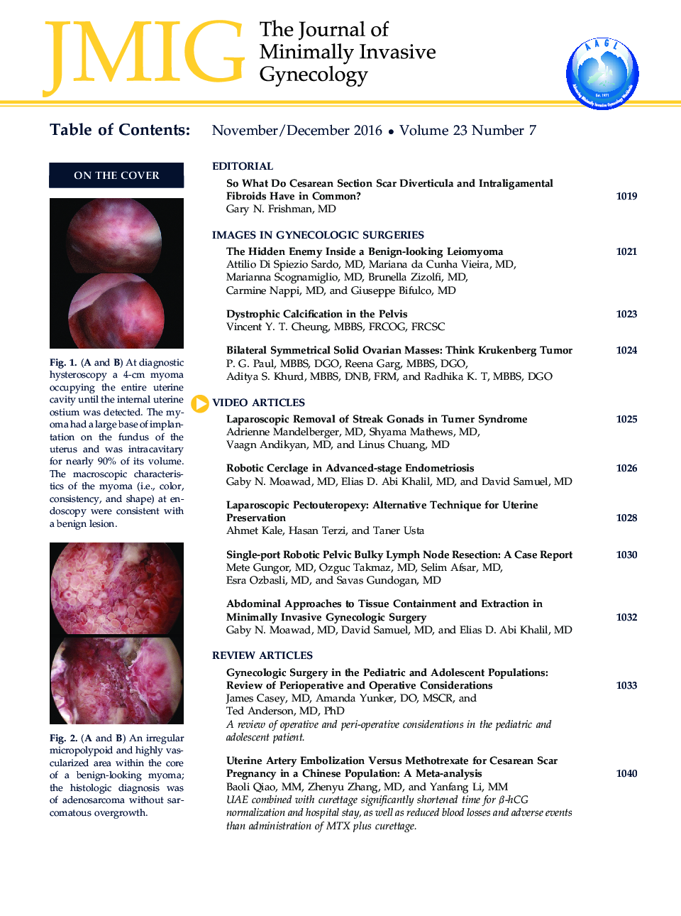 عکس صفحه اول مقاله: Table of Contents Table of Contents