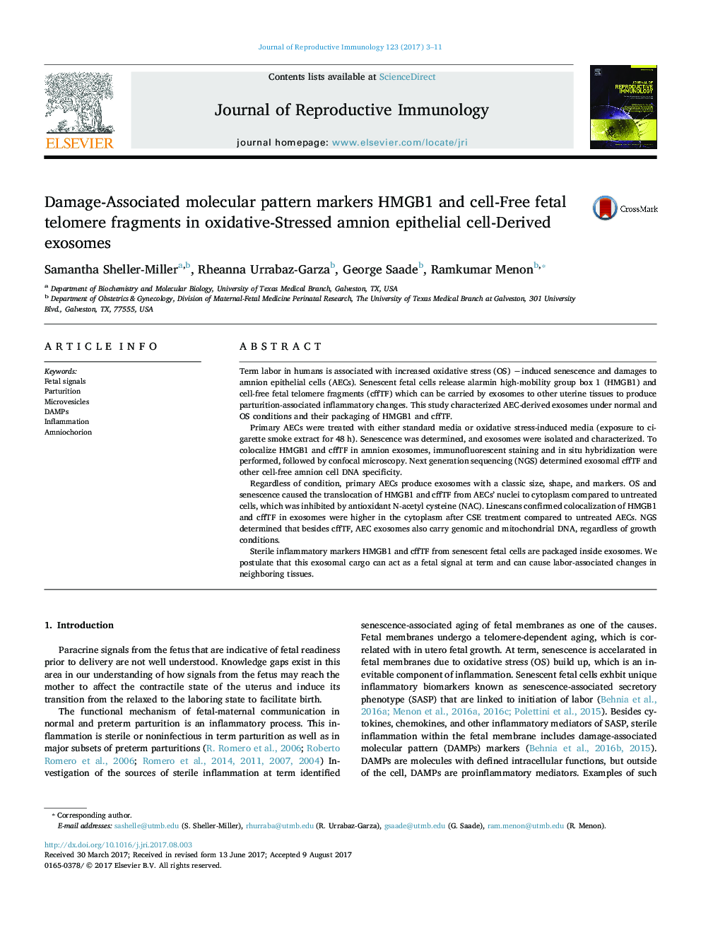 Damage-Associated molecular pattern markers HMGB1 and cell-Free fetal telomere fragments in oxidative-Stressed amnion epithelial cell-Derived exosomes