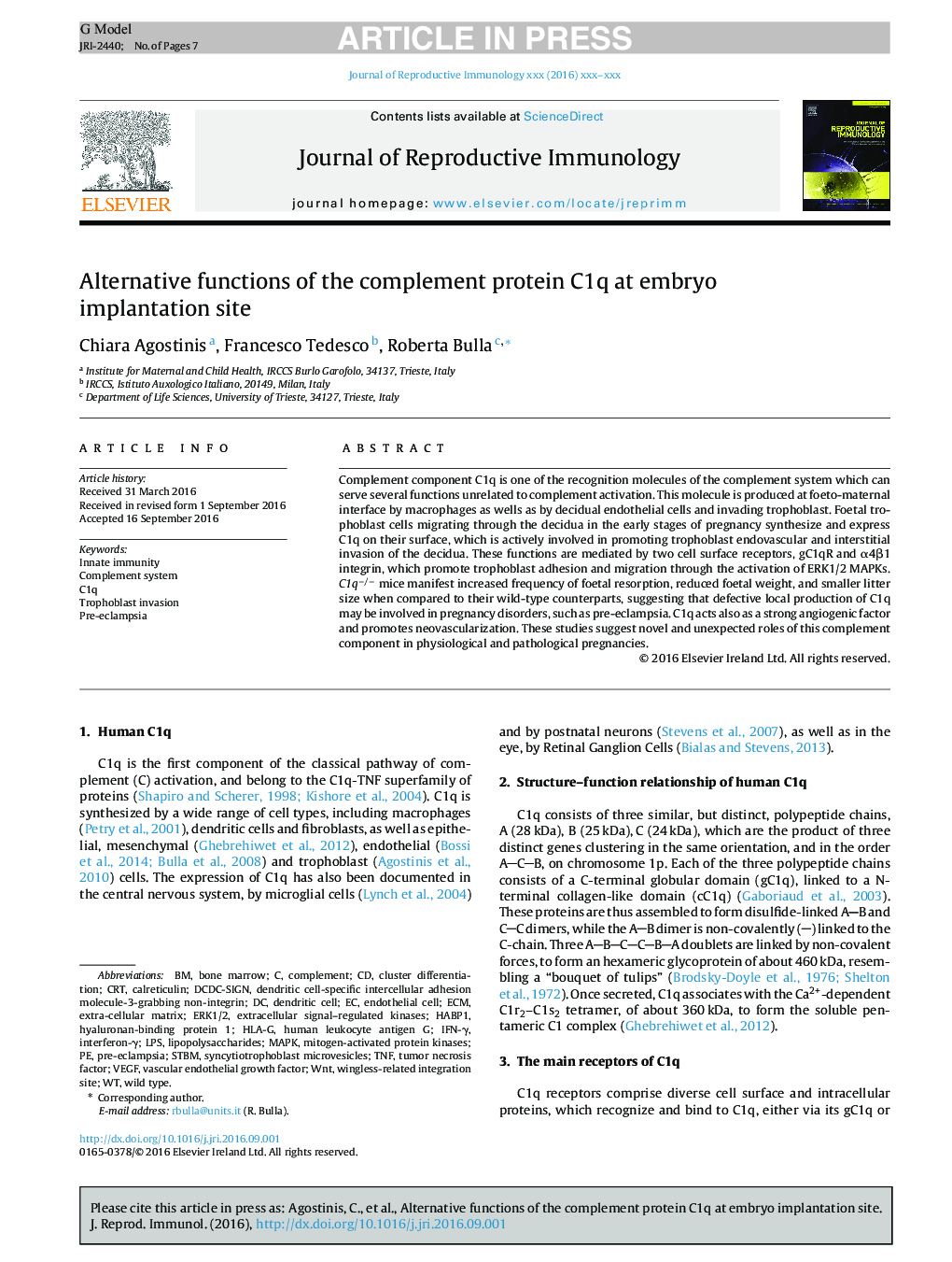 Alternative functions of the complement protein C1q at embryo implantation site