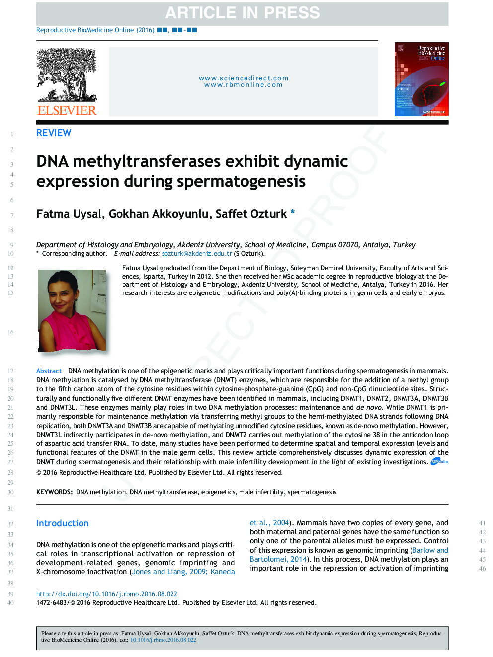 DNA methyltransferases exhibit dynamic expression during spermatogenesis