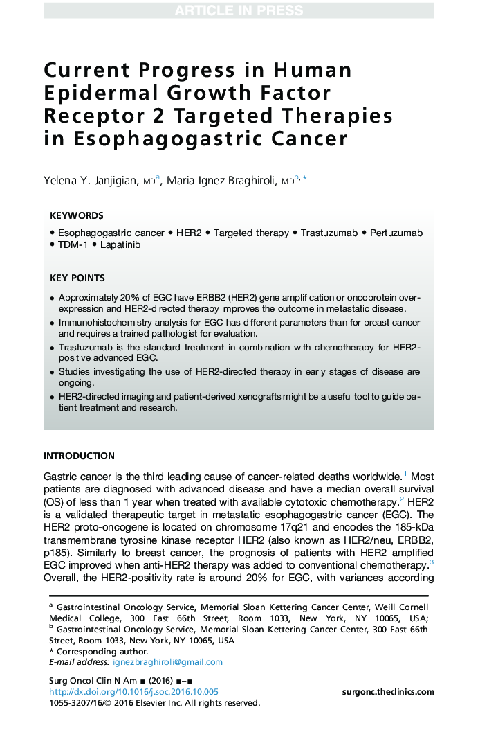 Current Progress in Human Epidermal Growth Factor Receptor 2 Targeted Therapies inÂ Esophagogastric Cancer