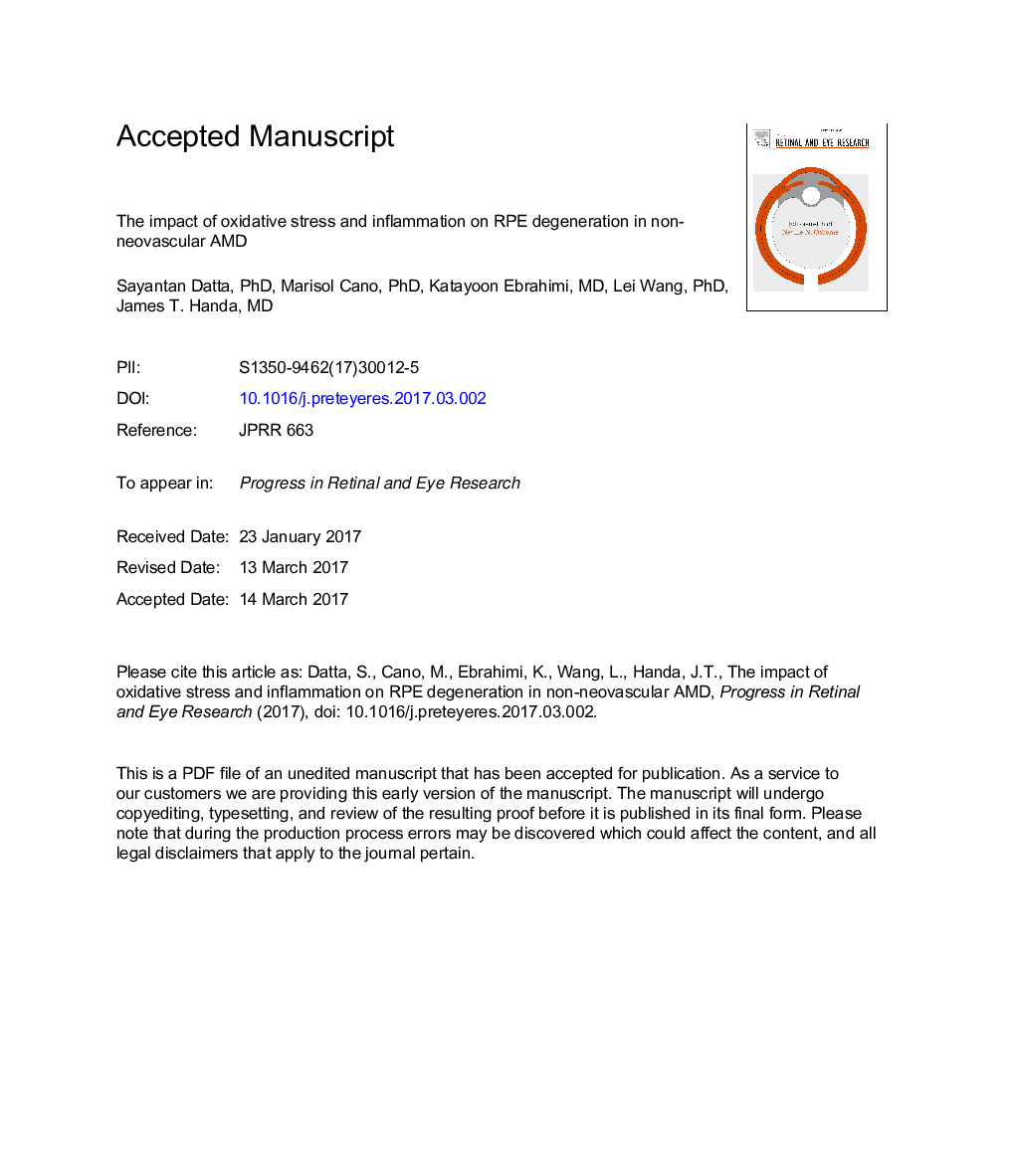 The impact of oxidative stress and inflammation on RPE degeneration in non-neovascular AMD